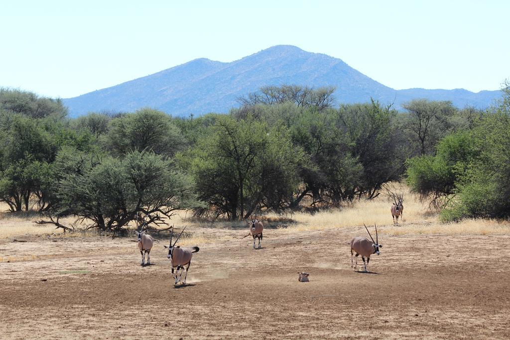 Haasenhof Gästefarm Villa Okahandja Exteriör bild